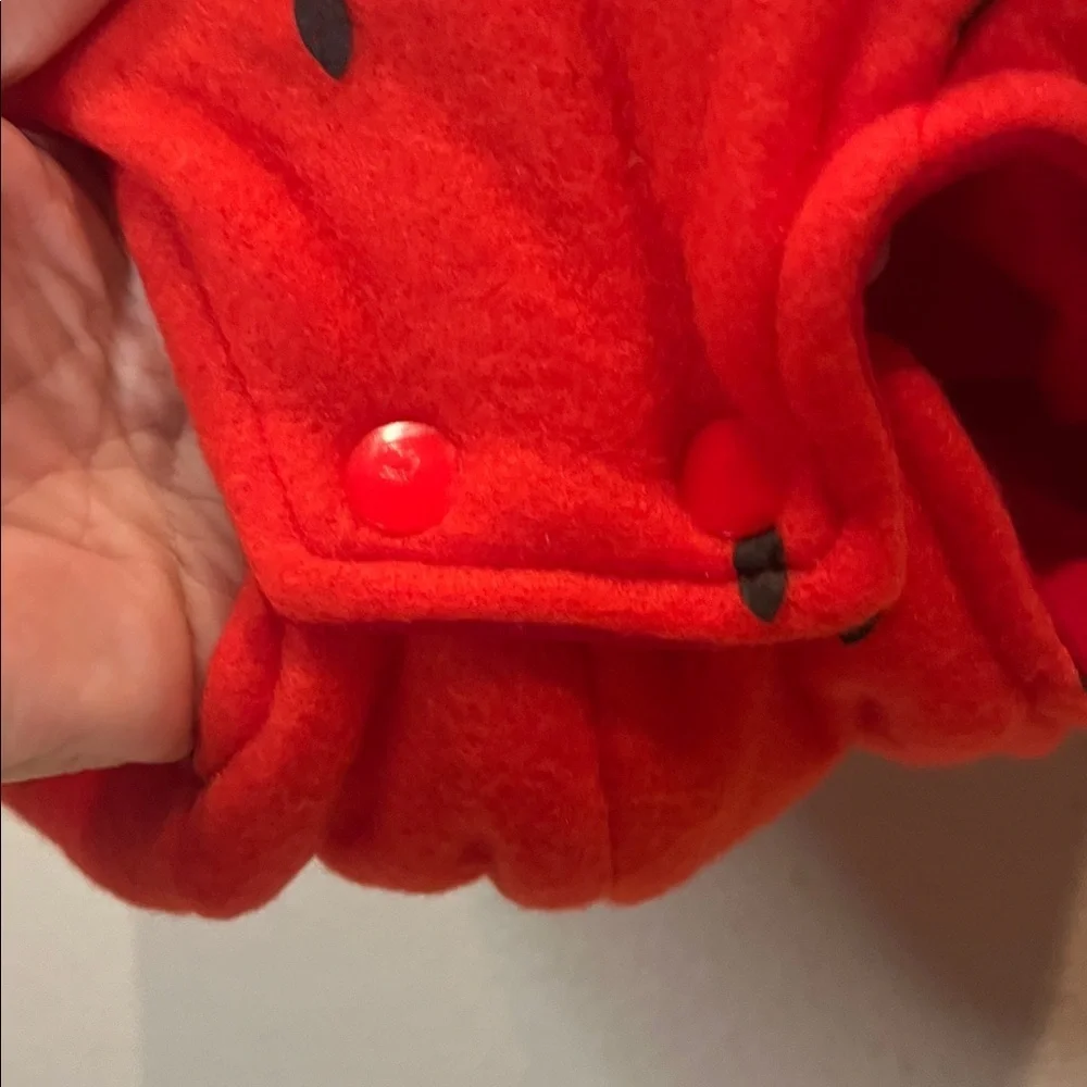 Strawberry Puffy Baby Costume Halloween Size 0-6 Months